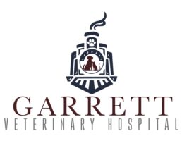 Gvh logo 1