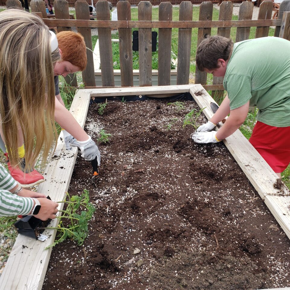 Natureplanting2
