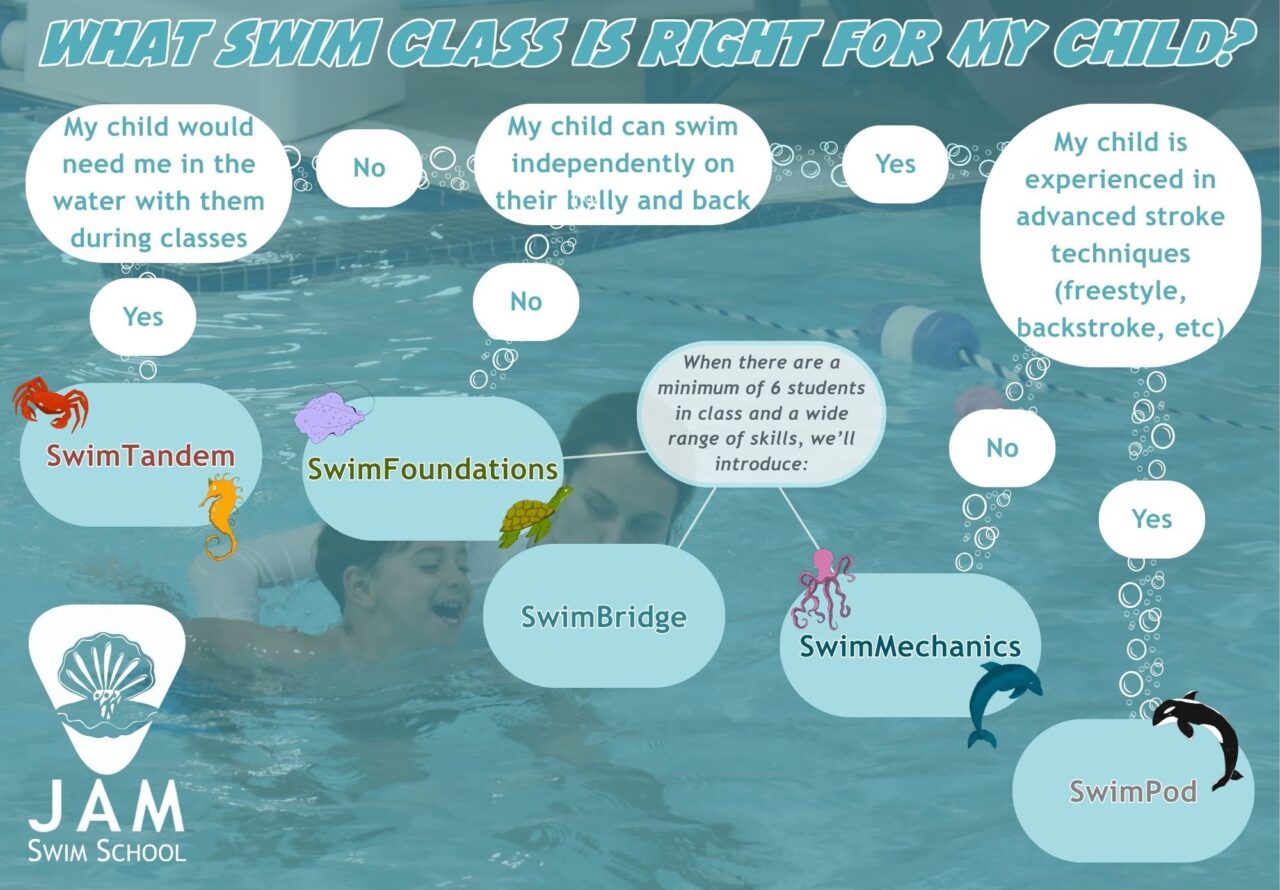Swim School Flow Chart choose your level