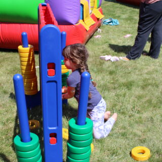 IMG 3554